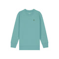 Sweater Cactus kids